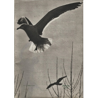 Livros/Acervo/B/BOLETIM 1